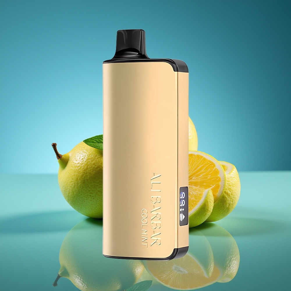 Alibarbar Ingot 9000 Puffs Vaporizador Desechable Menta Fresca con Pantalla LED y 22ml