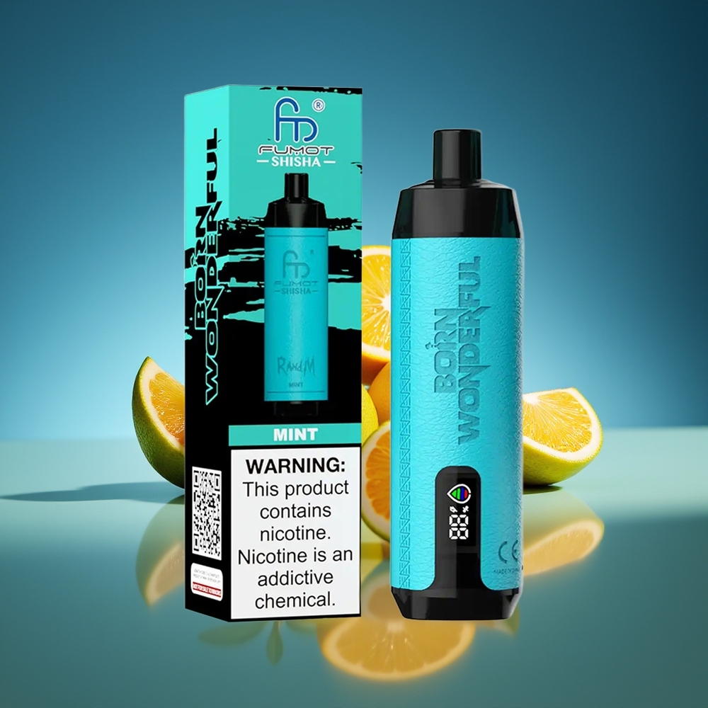 RandM Fumot Shisha 10000 Puffs Menta 18ml Tipo-C