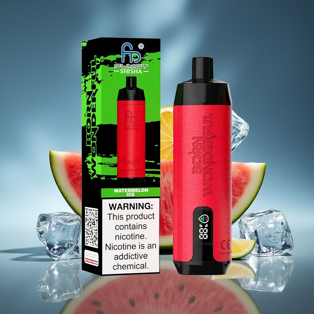 RandM Fumot Shisha 10000 Puffs Sandía Hielo con Batería 850 mAh y Tipo-C