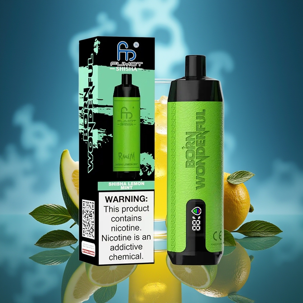 RandM Fumot Shisha 10000 Puffs Vape Desechable Limón Menta con Batería 850 mAh y Tipo-C