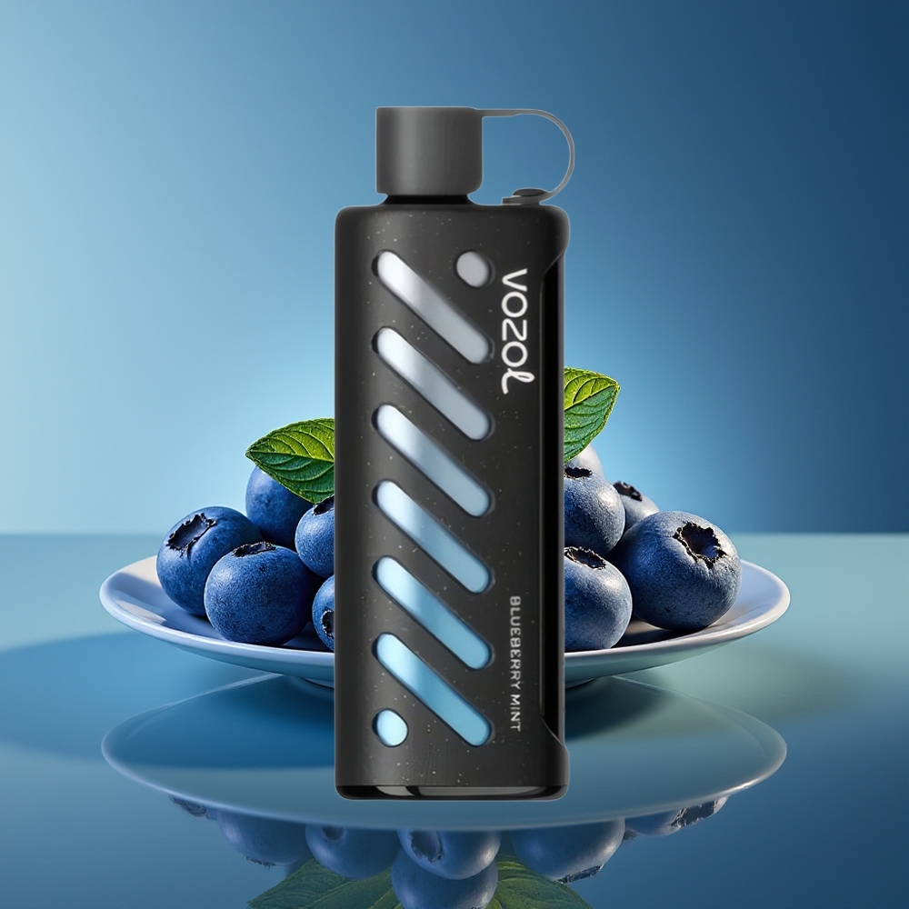 VOZOL Gear Shisha 25000 Puffs Menta Arándano Dual Mesh