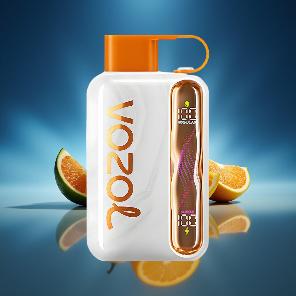 VOZOL STAR 40000 Puffs 1000mAh Tipo-C Disposable Vape Vzbull