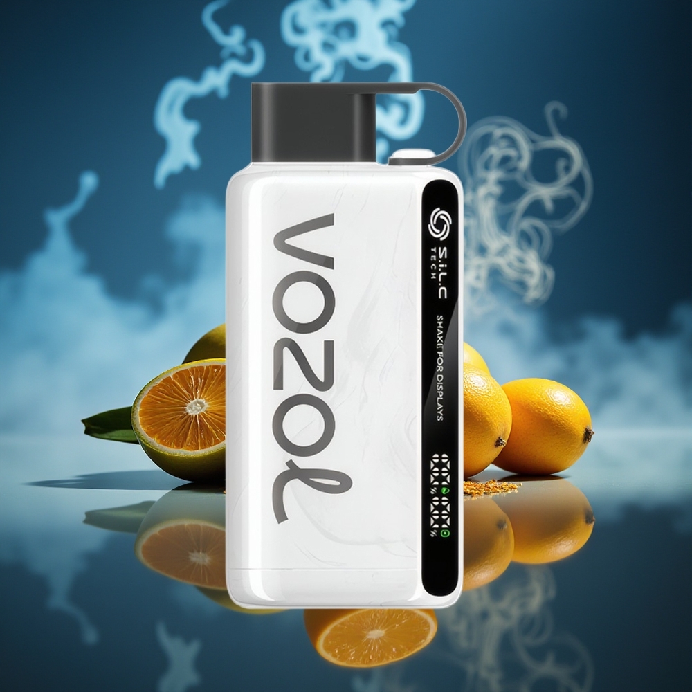 VOZOL STAR 9000/12000 Recargable Rápido y Protección Boquilla Tabaco Desechable